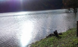 image-0-02-05-44086a048b905c4c2b36b2652868217c1ab3369e6c6e3ba8ab58c25d12af62ac-v